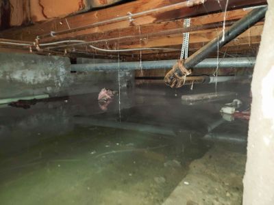 Basement Repair