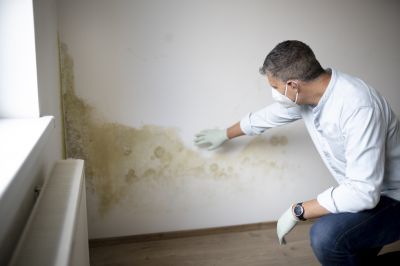 Damp and Mold Treatment